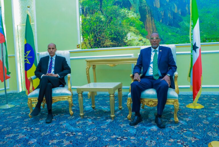 Somaliland, Ethio-Somali State discuss cooperation, regional security