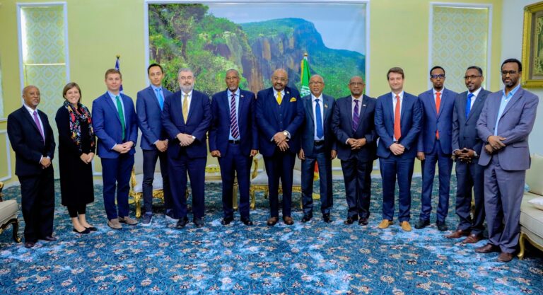 Somaliland president receives US Congressional Staff Delegation