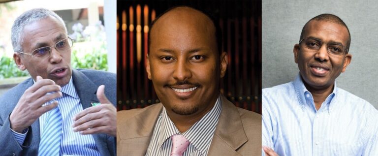 Somalilanders’ remittance businesses thrive worldwide