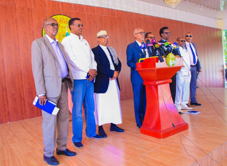 More than 810,000 people in six regions in Somalia are affected by drought, National Drought Rescue Committee said on Thursday.