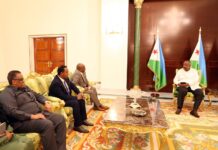 Djibouti's president holds talks with Somaliland foreign minister