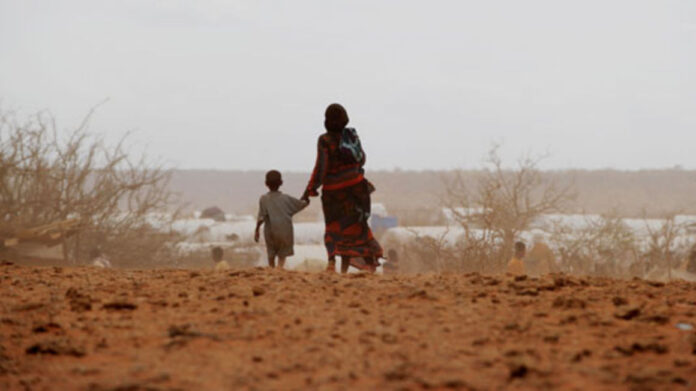 245,000 people in Somalia have been displaced due to the drought, with the number projected to reach 1.4 million in 2022 as the situation worsens. PHOTO | FILE | NMG