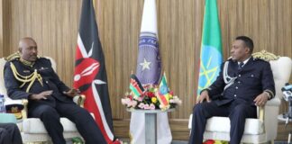 Ethiopia, Kenya Agree To Undertake Joint Operation Against Al-Shabab