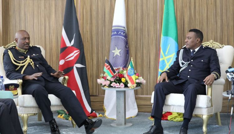 Ethiopia, Kenya Agree To Undertake Joint Operation Against Al-Shabab