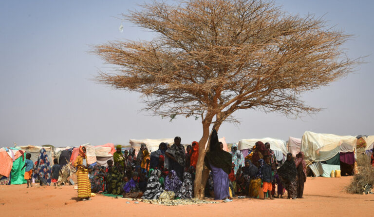 Standing in front of his makeshift home in a camp for internally displaced people (IDP) in southern Somalia’s Luuq district, Ahmad Hassan Yarrow looks out towards what remains of the Juba River and shakes his head forlornly.