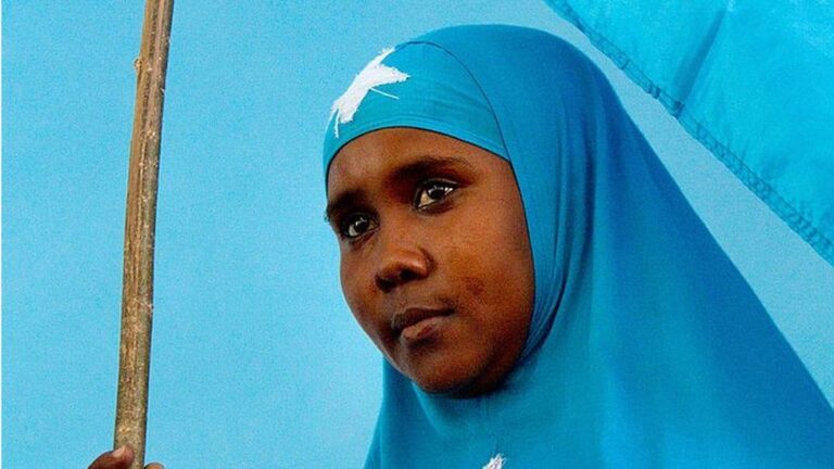 A Somali woman holds the national flag during a ceremony marking President Sheikh Sharif Sheikh Ahem's first year in office at the Villa Somalia presidential palace in Mogadishu on January 29, 2010IMAGE SOURCE,GETTY IMAGES