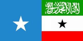 Somaliland and somali flags