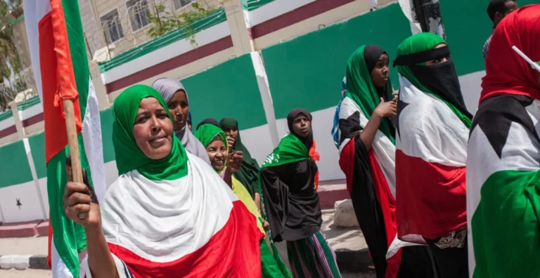 Somaliland flag