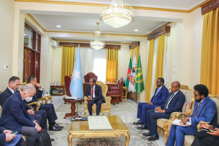 Somalia President , Italian FM discuss ways to strengthen bilateral ties