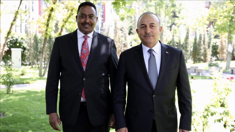 Mevlut Cavusoglu, IGAD chief Workneh Gebeyehu meet in Turkish capital