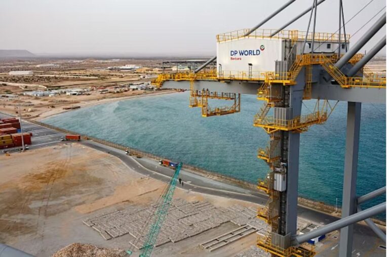 Dubai-based port operator DP World and the Government of Somaliland, opened a container terminal at Berbera Port in June 2021. Photo by ED RAM/AFP via Getty Images