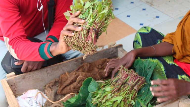 Vendors sell Miraa at Hola centre in Tana River County. PHOTO | STEPHEN ODUOR | NMG