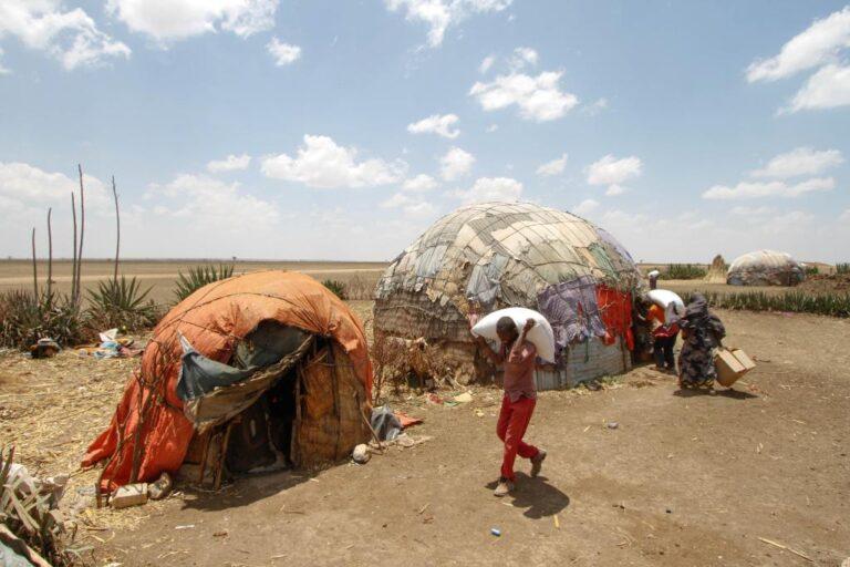 Ethiopia is experiencing one of the largest education crises globally, mainly due to internal conflict and the effects of climate change, a senior UN official has said.