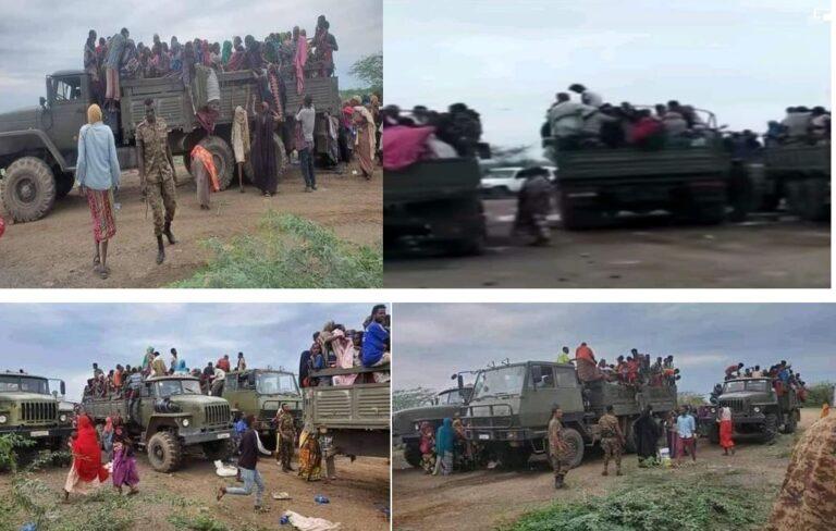 Over a span of four years an apparent campaign of ethnic cleansing has played out in Somali region's western periphery of Sitti zone.