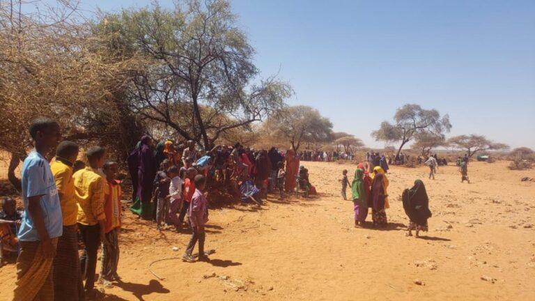 Somali refugees who fled recent clashes in Lasscanood, Somaliland area, shelter in the open at the Qoriley site in the Somali region of Ethiopia. © UNHCR/Aden Harun
