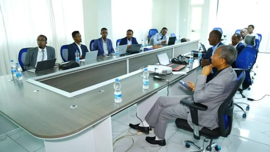 Ethiopian revenue in fruitful engagement with Somaliland counterparts