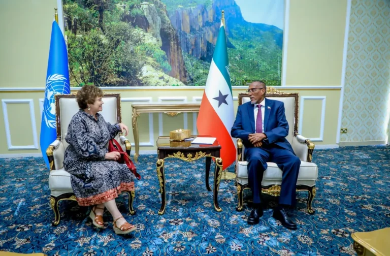 Somaliland President received the Special Envoy of the Secretary General of the United Nations Mrs. Catriona Laing