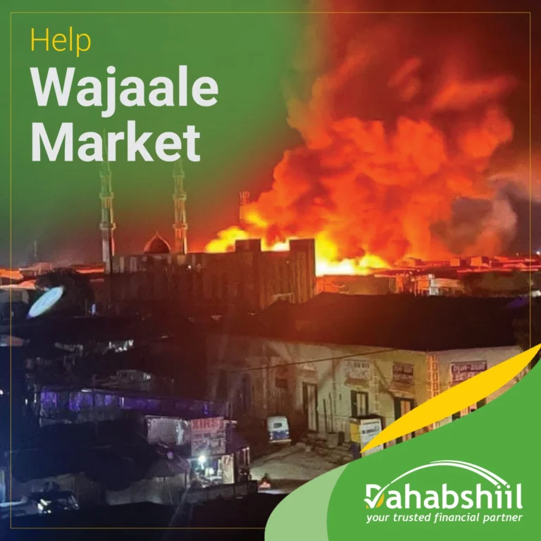 Dahabshiil $300,000 Dollars cash to the Wajaale Fire Relief and Victims Support Committee, the largest donation made by a local company
