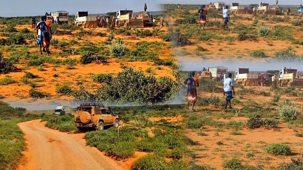 Savage Terrorist-Driven Attacks Target Nomadic Pastoralists in Buqdharkeyn Village , Somaliland's Sool Region