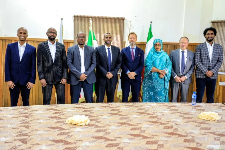 Somaliland Electoral Commission to Release elections timetable and publicize final list of potential voters