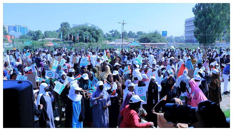 Somaliland Elections 2024: Campaigning Officially Begins Across the Nation