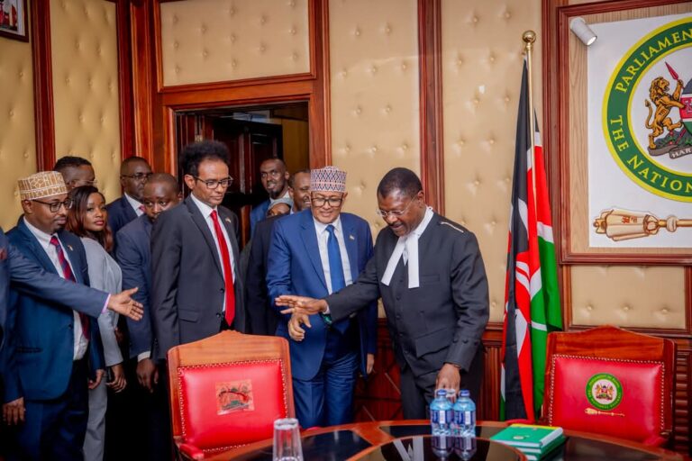 Somaliland President, Kenya’s Parliament Speaker Discuss Strengthening Legislative Cooperation, Regional Stability