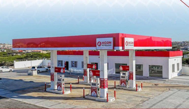 Horn Petroleum: Powering the Horn of Africa’s Energy Future