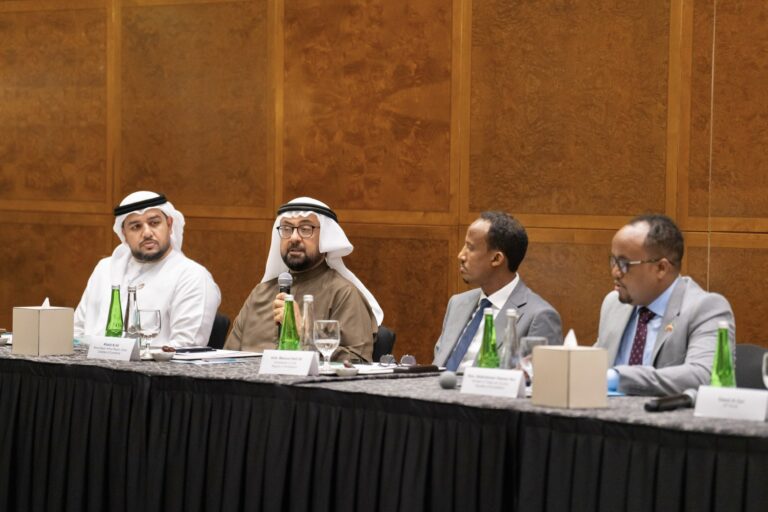 Somaliland Officials Engage UAE Investors on Agriculture, Logistics, Mining Prospects