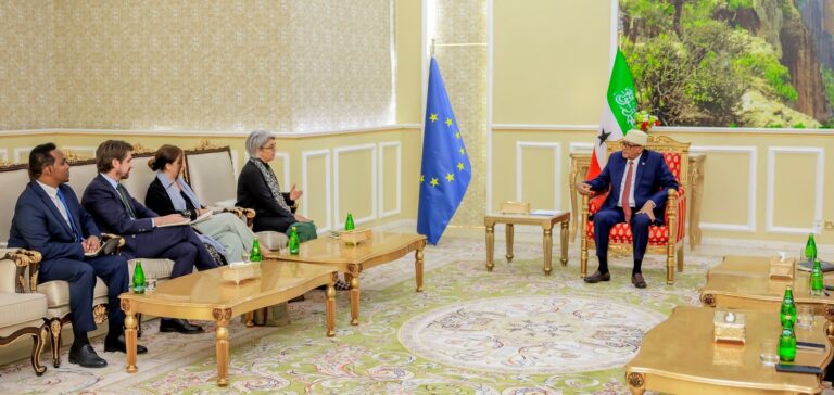 Somaliland President, EU Horn of Africa Envoy Discuss Regional Security and Cooperation
