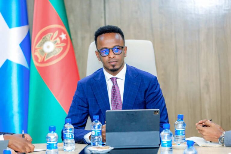 Somalia deputy defence minister says only government forces and al-Shabaab allowed to carry heavy weapons