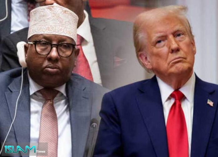 n01252930-b Somalia trum fiqi