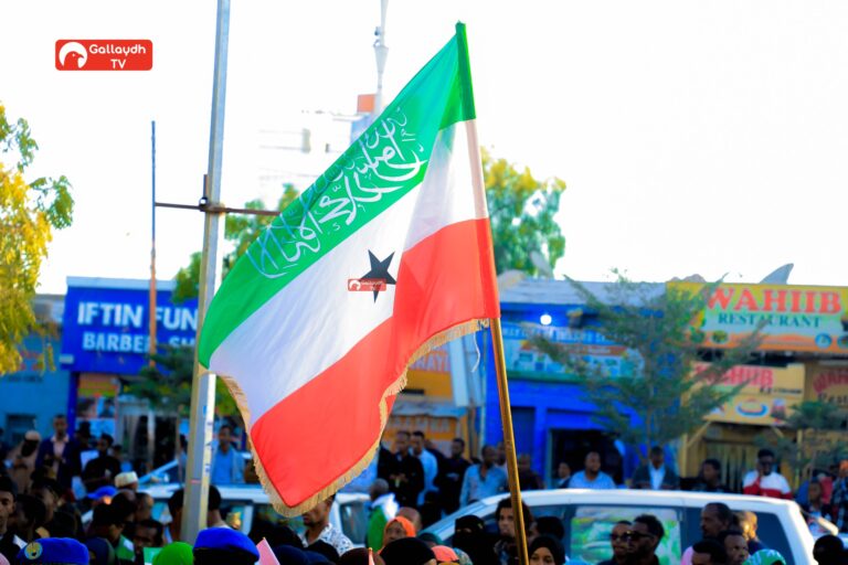 Recognition Deferred, Responsibility Avoided: The Policy Logic Behind Blocking Somaliland