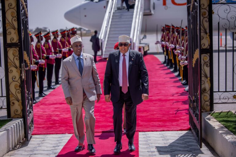 Somaliland President Returns Home After Pressing Recognition Case at Davos Forum