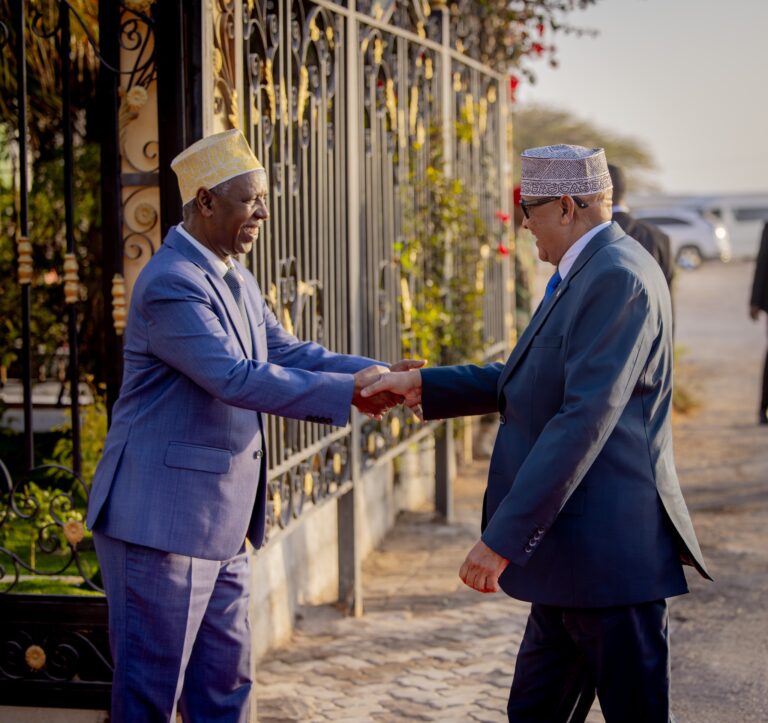 Somaliland President Returns from UAE After World Governments Summit