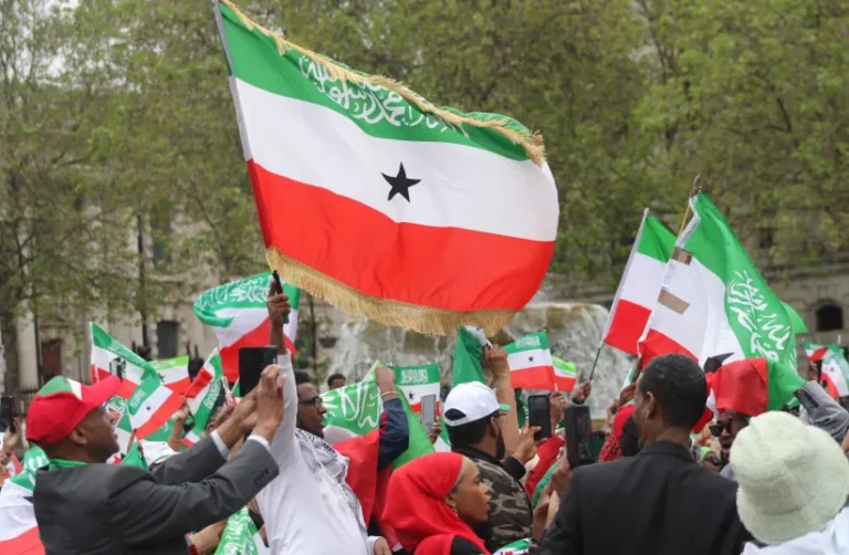 An illustrative image of a Somaliland flag being held. (credit: SHUTTERSTOCK)
