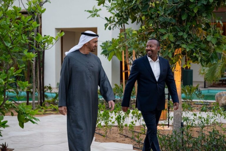 UAE President Sheikh Mohamed bin Zayed Al Nahyan and Ethiopian Prime Minister Dr Abiy Ahmed, Prime Minister discuss cooperation and regional developments