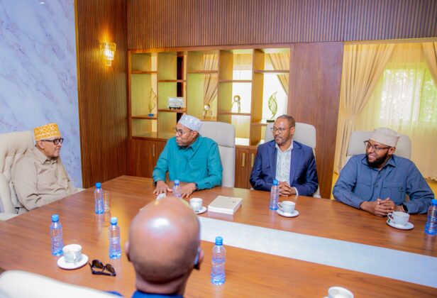 Somaliland president meets former IGAD envoy on regional security, cooperation