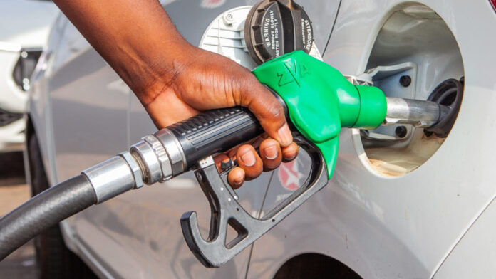 Picture: Sharon Seretlo / Gallo