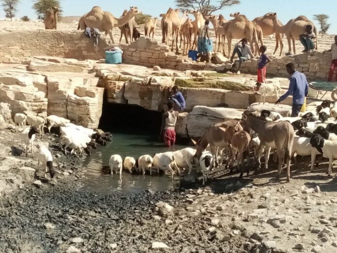 Residents and livestock gather at a nearly empty well in Godanod village, Sanaag region of Somaliland, drawing some of the last remaining water as prolonged drought dries up traditional sources across the area. photo by Suldan Yonis abdi dheere