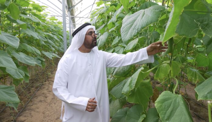 Silal Expands UAE Farming Initiative for Food Security PHOTO WAM