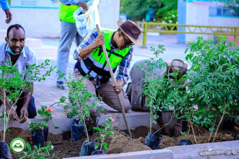 Abdikarim Ahmed Mooge Hargeisa mayor