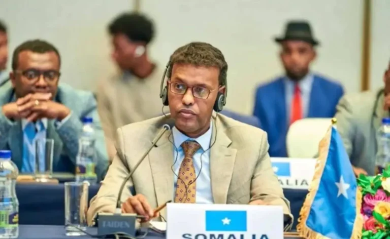Somalia Envoy Says Army Ready for Hargeisa as Clashes Shake Mogadishu