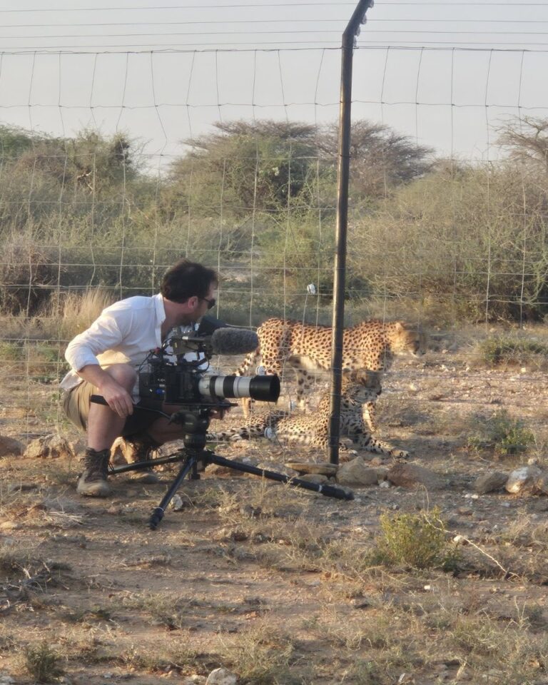 A documentary crew films cheetahs at a conservation facility as part of the Return of the Cheetah series, which has received multiple international film awards for its coverage of wildlife conservation in Africa. (Photo: Cheetah Conservation Fund/Discovery Channel)