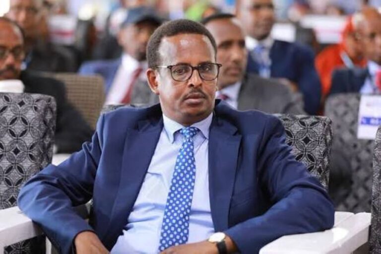 Somalia's State Minister at the Presidency, Abshir Bukhaari,