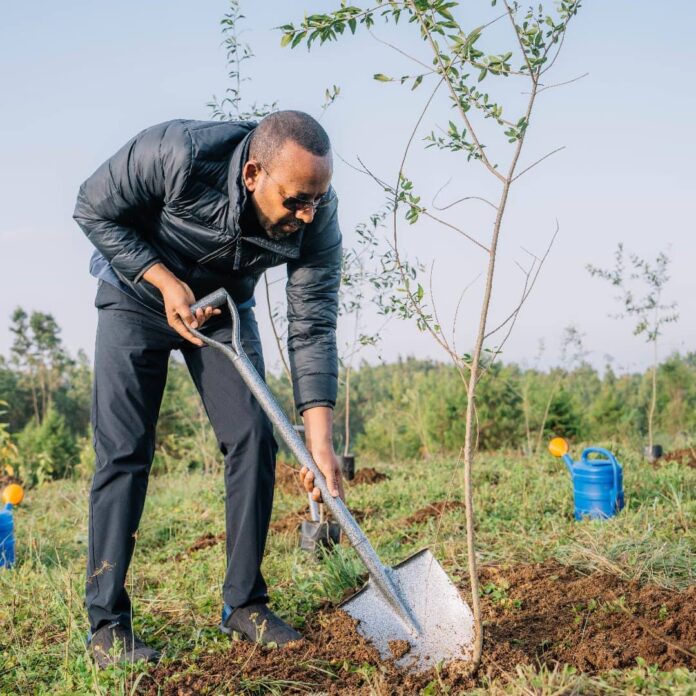 Prime Minister Abiy Ahmed called upon all to continue being a part of this year’s Green Legacy Initiative. Prime Minister Abiy Ahmed called upon all to continue being a part of this year’s Green Legacy Initiative.