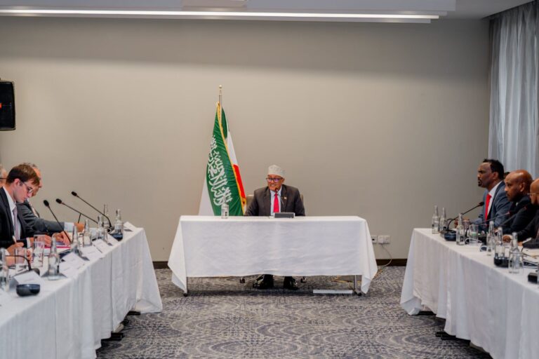 Somaliland President Pitches Investment, International Partnership in Nairobi Talks