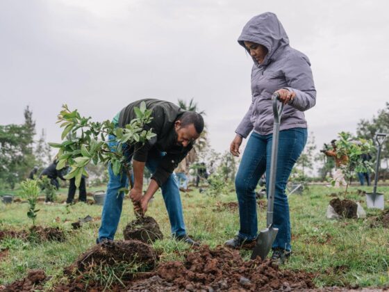 Ethiopian Prime Minister Abiy Ahmed and First Lady Zinash Tayachew plant a tree during the nationwide Green Legacy campaign in Addis Ababa, Aug. 3, 2026. Ethiopia aims to plant 800 million tree seedlings in a single day. (Photo: Office of the Prime Minister of Ethiopia)