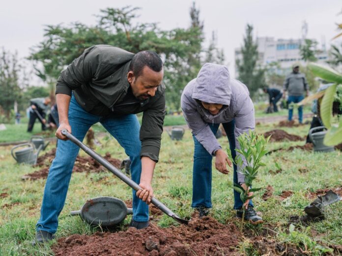 Prime Minister Abiy Ahmed and First Lady Zinash Tayachew participate in Ethiopia's Green Legacy Initiative as the country pursues its target of planting 800 million tree seedlings in one day. (Photo: Office of the Prime Minister of Ethiopia)