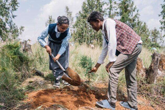 Students take part in Ethiopia's nationwide Green Legacy tree-planting campaign, joining millions of volunteers in the country's annual environmental restoration effort. (Photo: Office of the Prime Minister of Ethiopia)