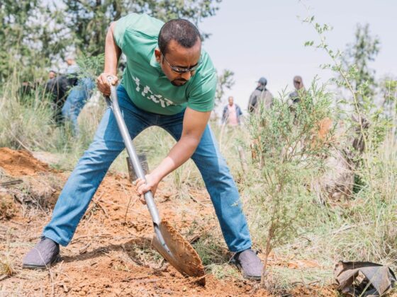 Prime Minister Abiy Ahmed plants a tree during the nationwide Green Legacy campaign aimed at restoring degraded landscapes and expanding Ethiopia's forest cover. (Photo: Office of the Prime Minister of Ethiopia)